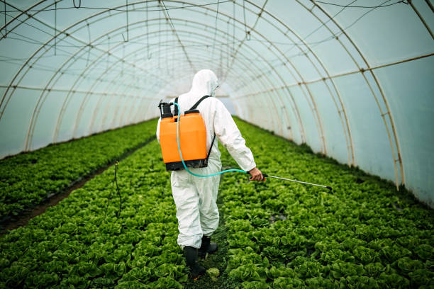Best Mosquito Control Services  in Yermo, CA
