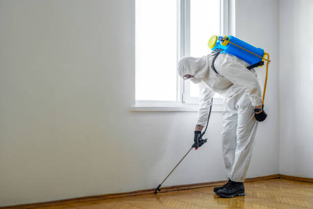 Best Pest Control Near Me  in Yermo, CA