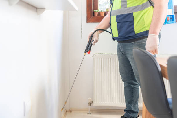 Best Pest Control Near Me in Yermo, CA