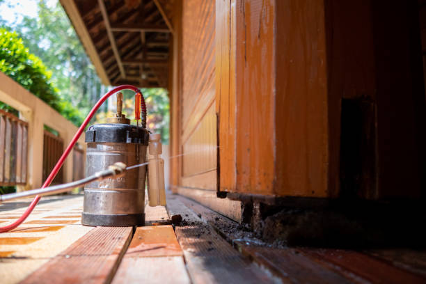 Best Ant Control Services  in Yermo, CA